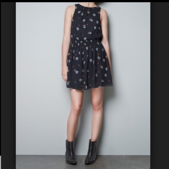 Zara Dresses & Skirts - 🖤💀ZARA Skull Black Dress💀🖤Brand New